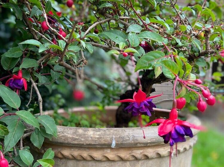 مبيت وإفطار Château La Rametière