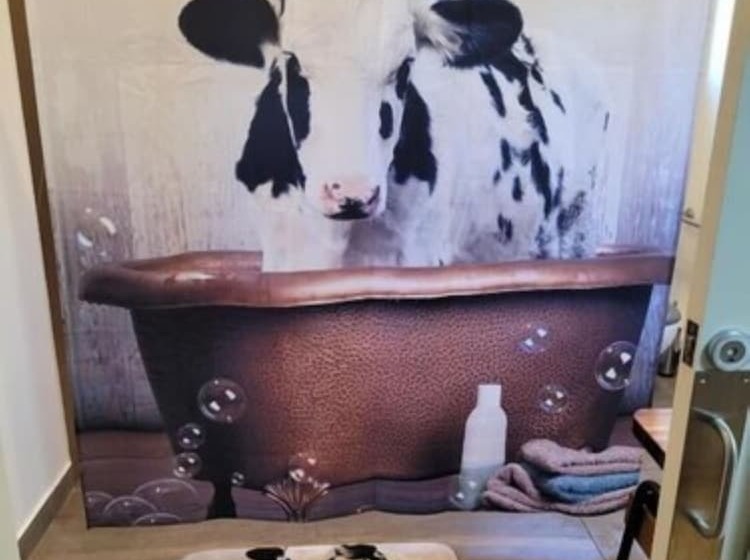 Deville At Healesville