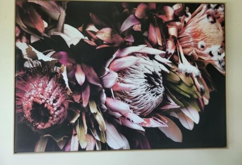 Deville At Healesville