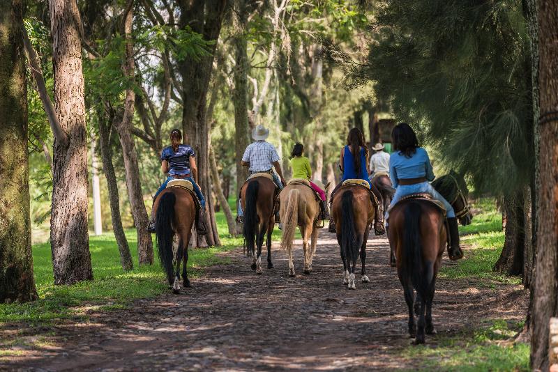 Hacienda Labor De Rivera Hotel Boutique & Eventos
