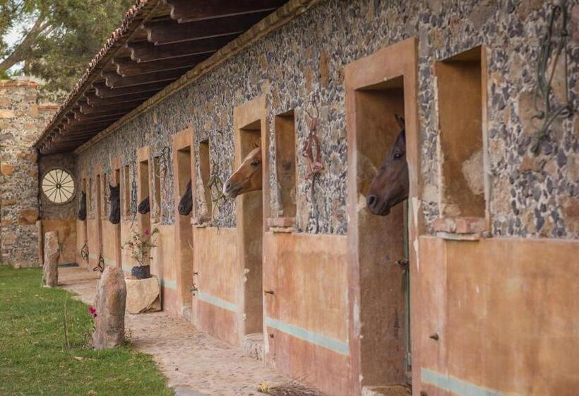 Hacienda Labor De Rivera Hotel Boutique & Eventos