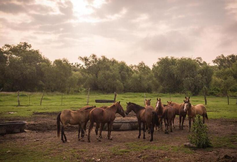 Hacienda Labor De Rivera Hotel Boutique & Eventos