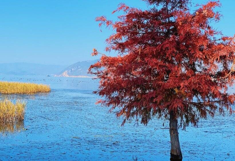 Hilton Dali Resort & Spa