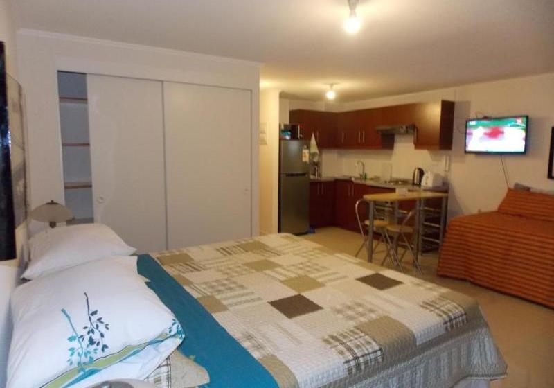 酒店 Apartments Latitud Sur