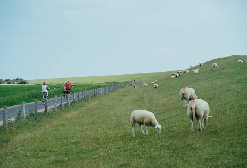 Отель Astra Maris