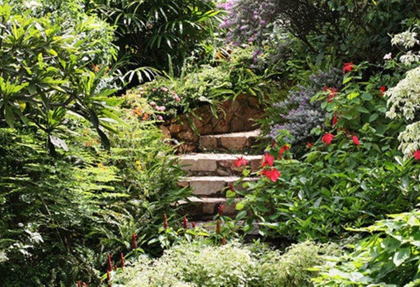 هتل Binh An Village Vung Tau