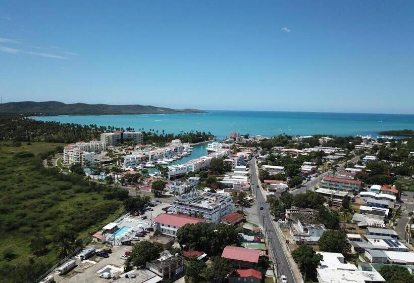 호텔 Boho Beach Club