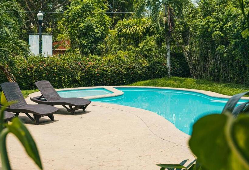 호텔 Cañada Internacional