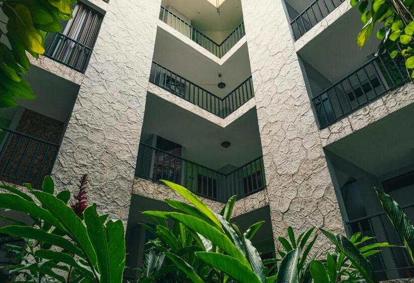 호텔 Cañada Internacional