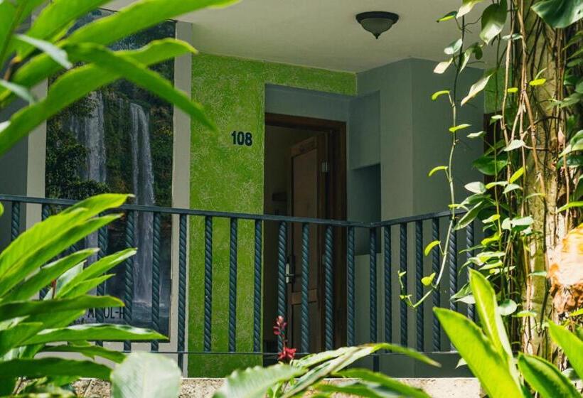 호텔 Cañada Internacional