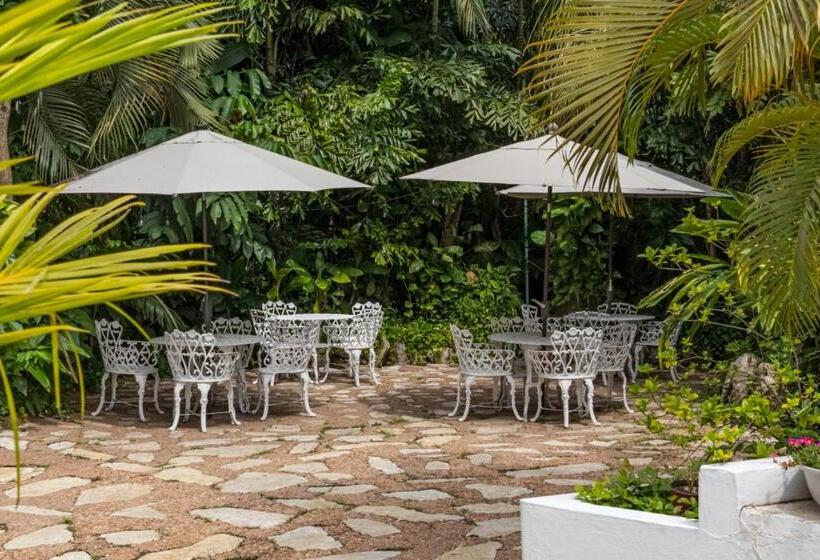 호텔 Cañada Internacional