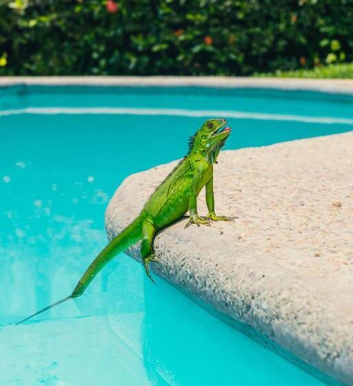 호텔 Cañada Internacional