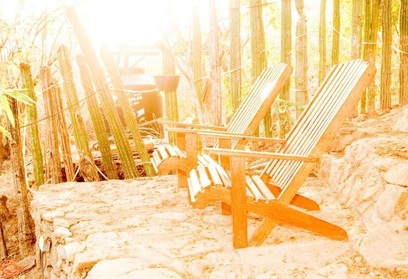 בית מלון כפרי Cabanas Biuzaa