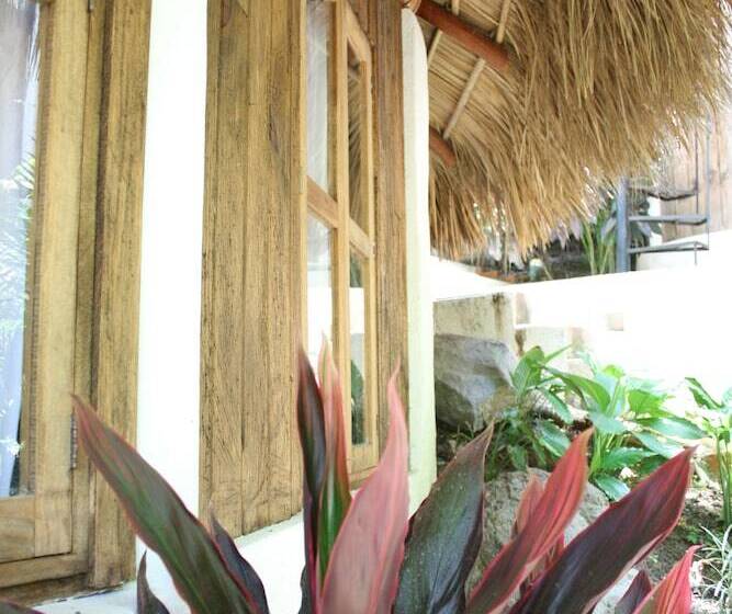 בית מלון כפרי Cabanas Biuzaa