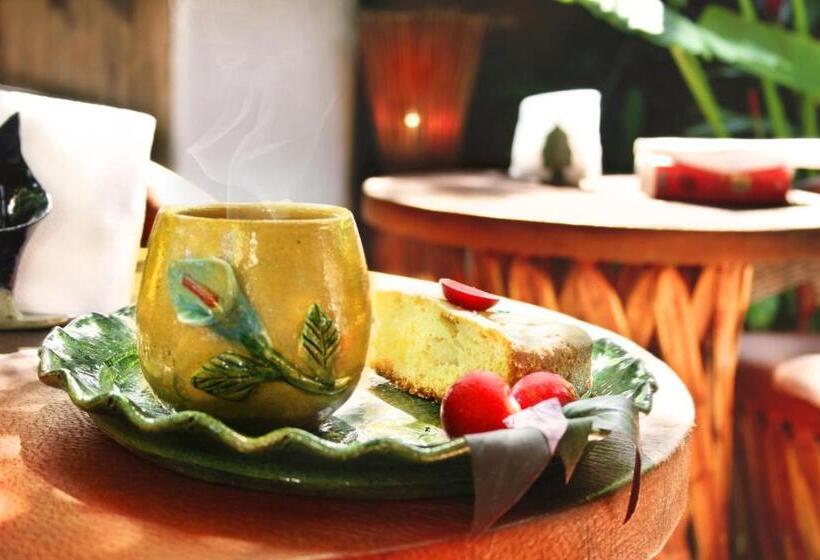 בית מלון כפרי Cabanas Biuzaa