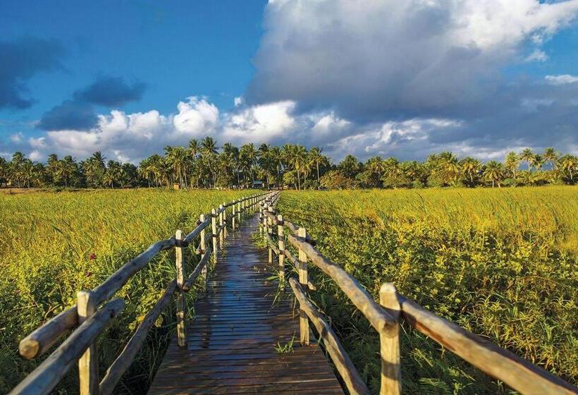 호텔 Casa Na Praia Tofo Beach Front