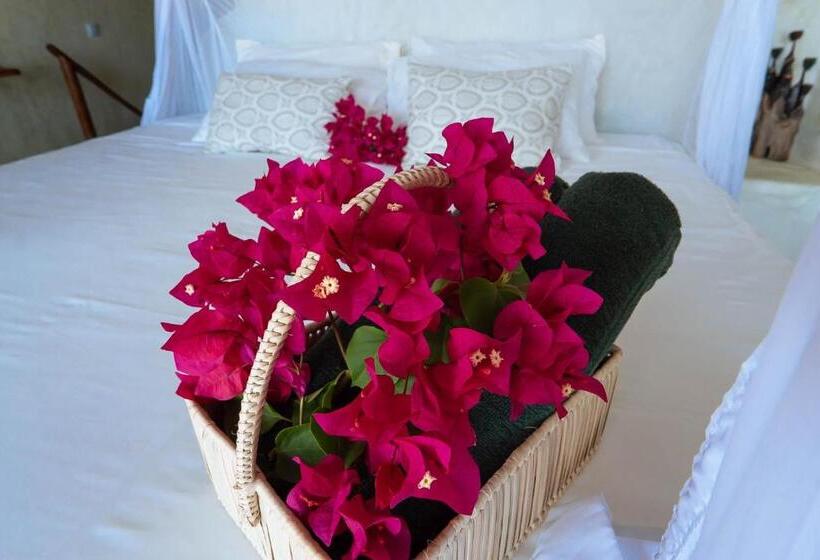 호텔 Casa Na Praia Tofo Beach Front