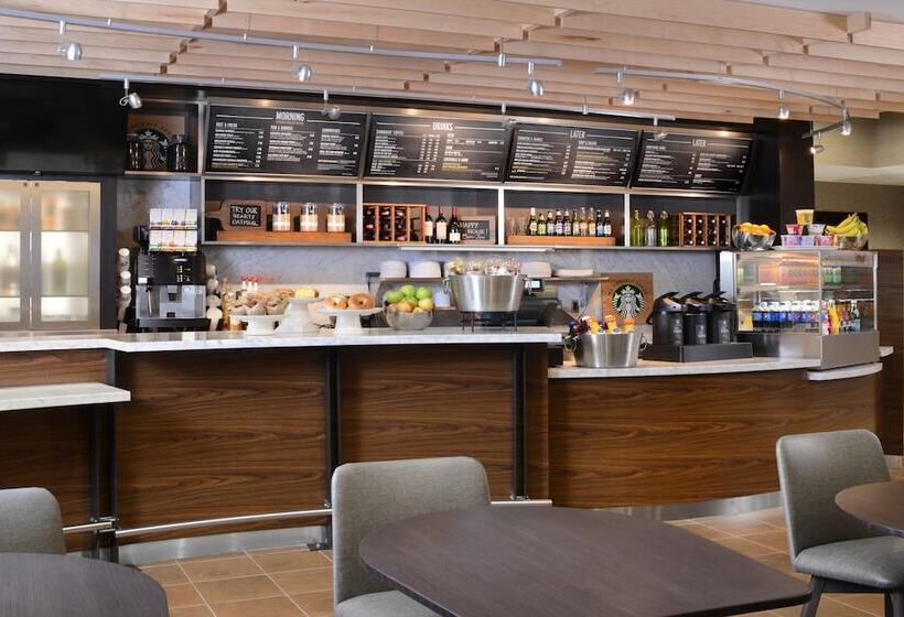 ホテル Courtyard By Marriott Dallas Plano/the Colony