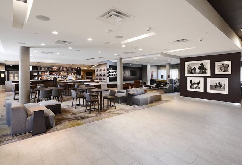 ホテル Courtyard By Marriott Dallas Plano/the Colony