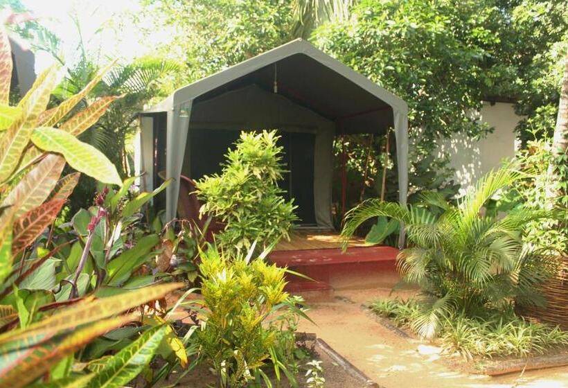 בית מלון כפרי Devocean Eco Adventure Lodge