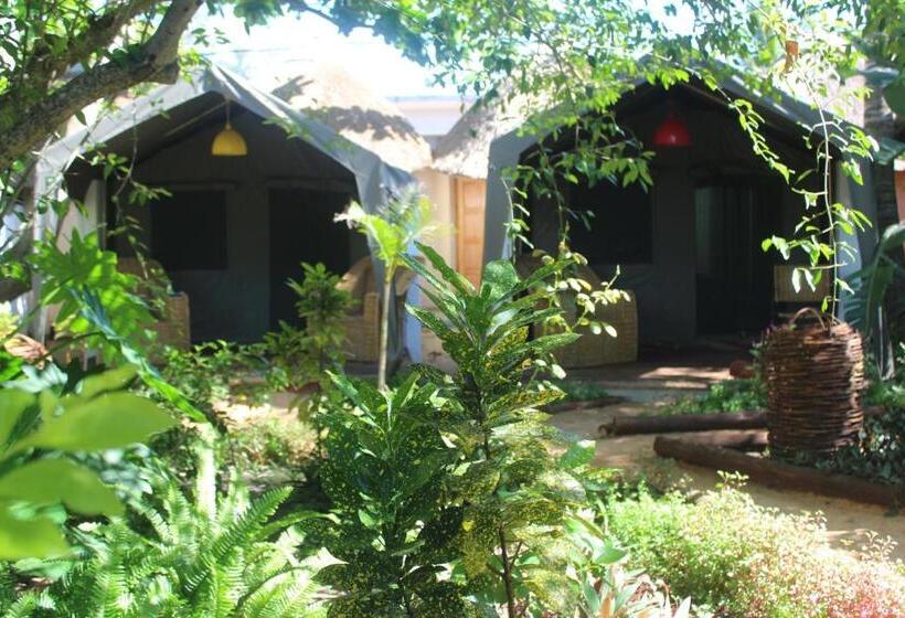 בית מלון כפרי Devocean Eco Adventure Lodge