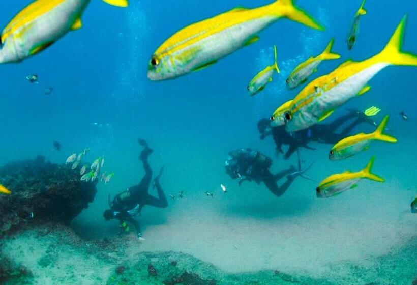 בית מלון כפרי Devocean Eco Adventure Lodge