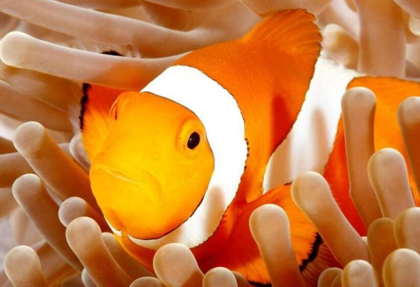 בית מלון כפרי Devocean Eco Adventure Lodge