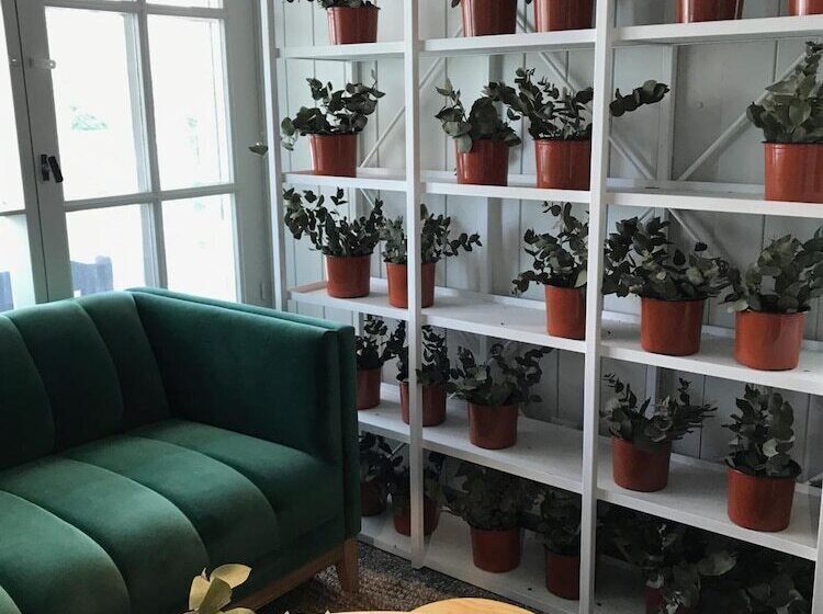 בית מלון כפרי Dollar