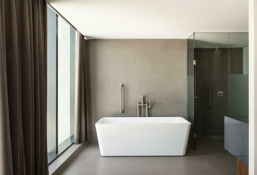 호텔 Fiesta Americana Monterrey Pabellón M