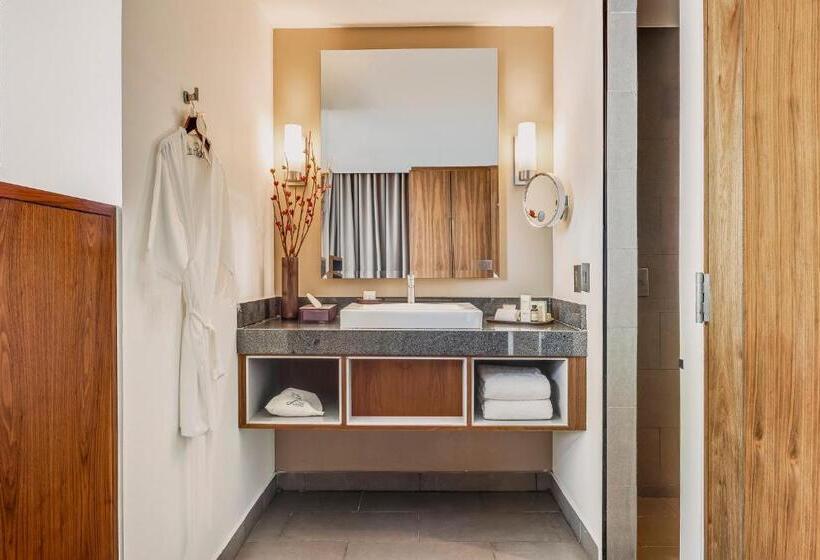 호텔 Fiesta Americana Monterrey Pabellón M