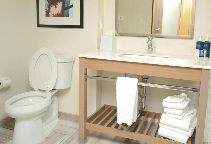 ホテル Four Points By Sheraton Midland