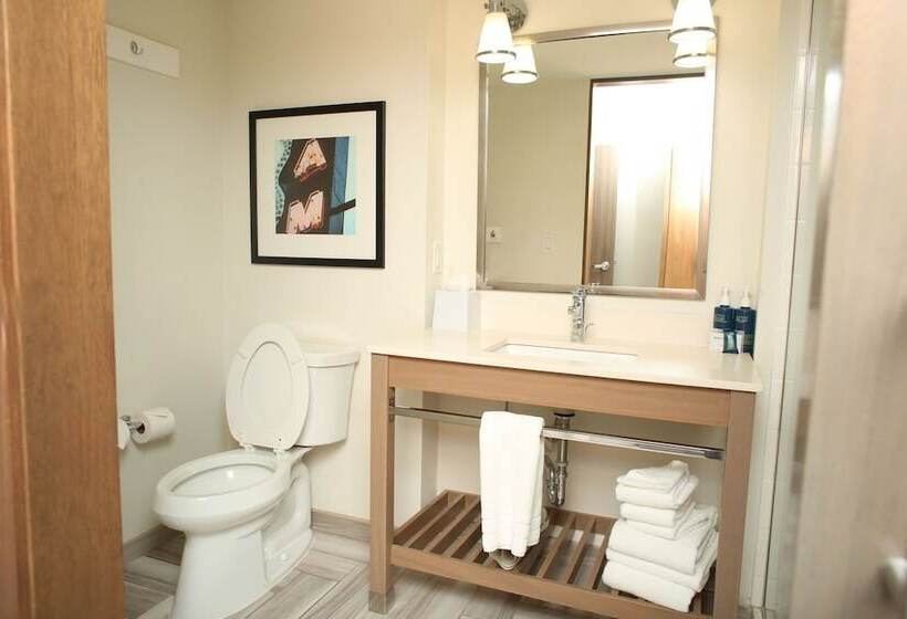 ホテル Four Points By Sheraton Midland