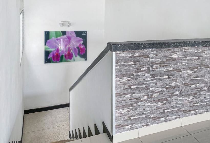 酒店 Suite Center Pereira