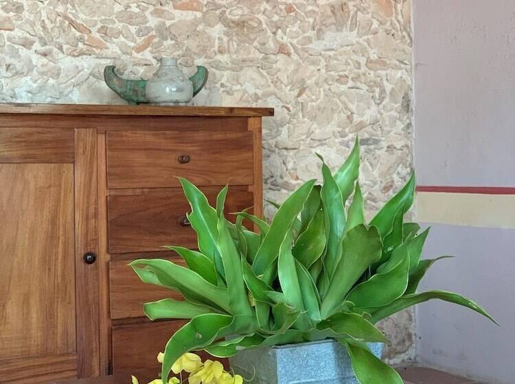 ホテル Hacienda San Francisco