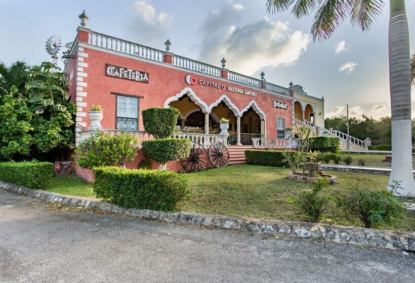 酒店 Hacienda Sánchez