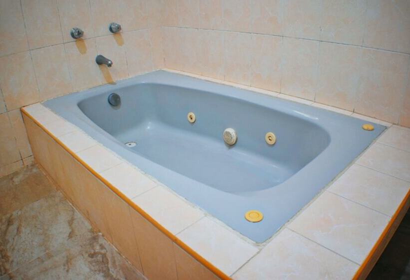 酒店 Hacienda Sánchez