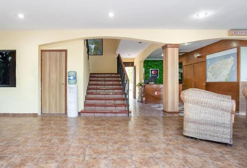 酒店 Hacienda Sánchez