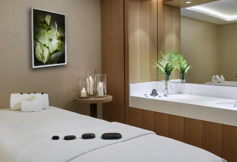 هتل Hilton Garden Inn Dubai, Mall Avenue