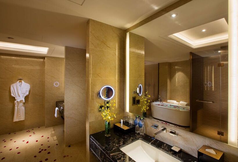 酒店 Hilton Wuhan Riverside