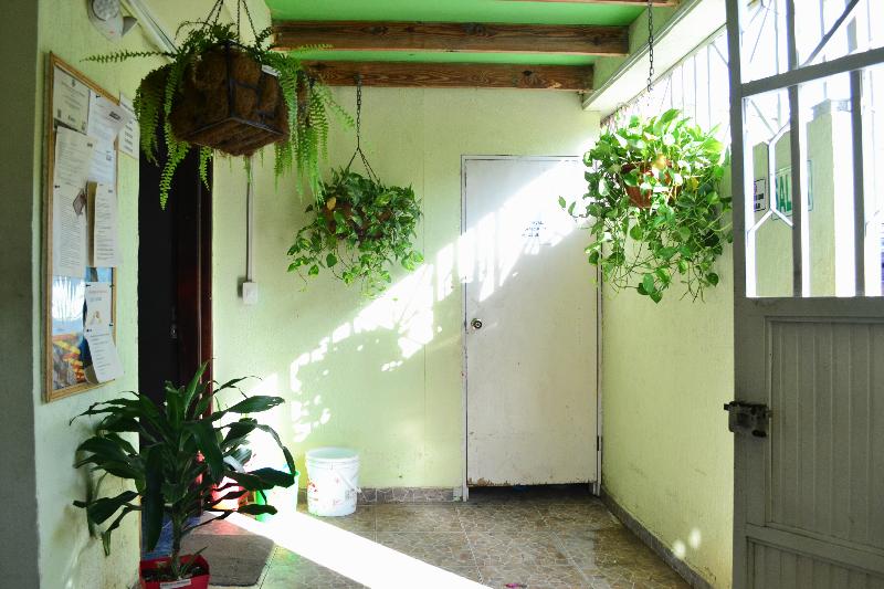 בית מלון כפרי Hostel Stingray