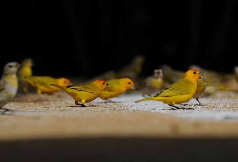 ホテル La Nube Posada