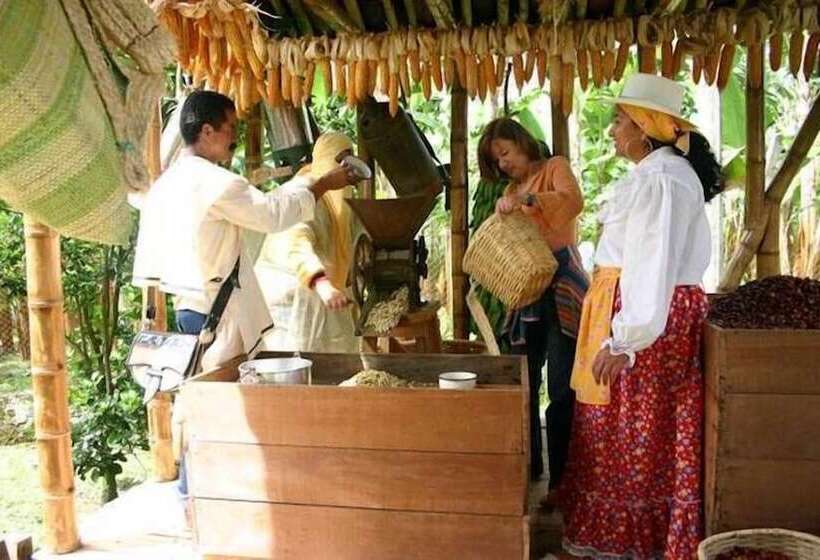 Отель La Terraza