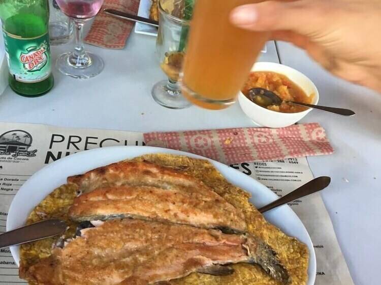 Отель La Terraza