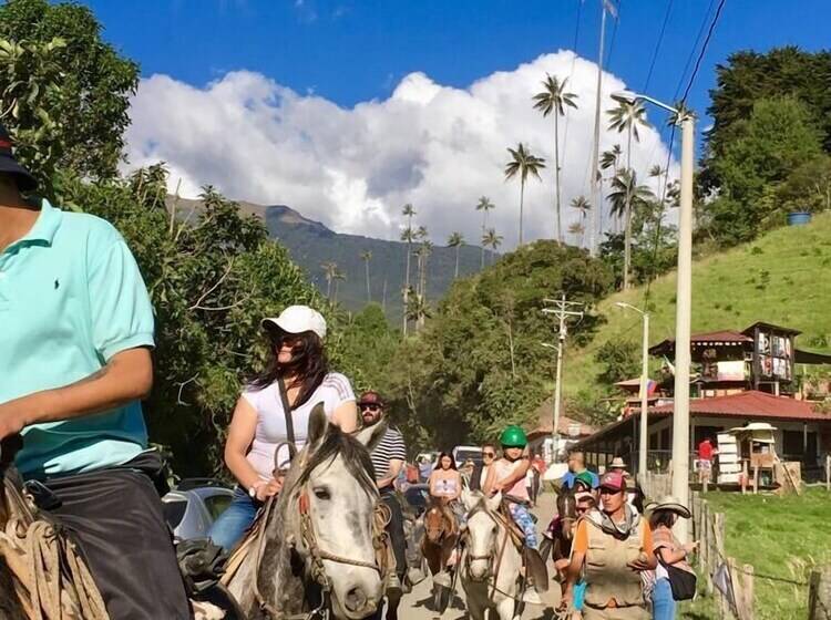 Отель La Terraza
