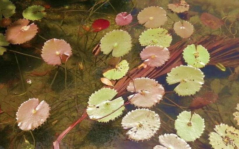 בית מלון כפרי Laguna Encantada