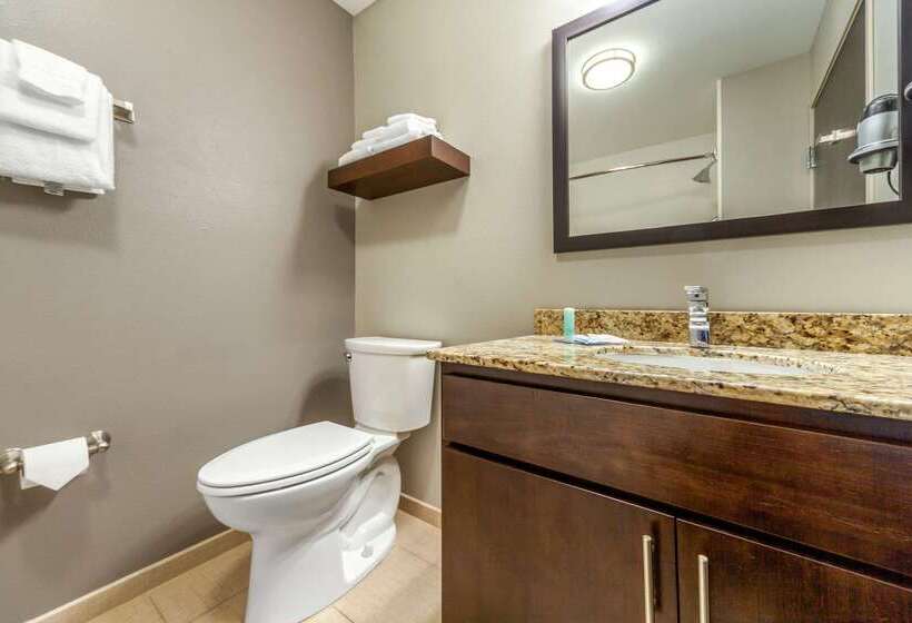 酒店 Mainstay Suites Lincoln University Area