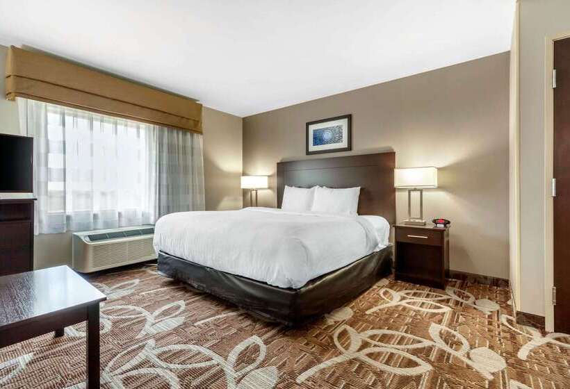 酒店 Mainstay Suites Lincoln University Area