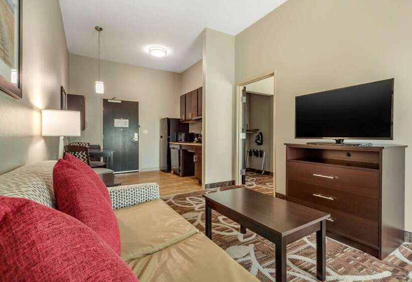 酒店 Mainstay Suites Lincoln University Area