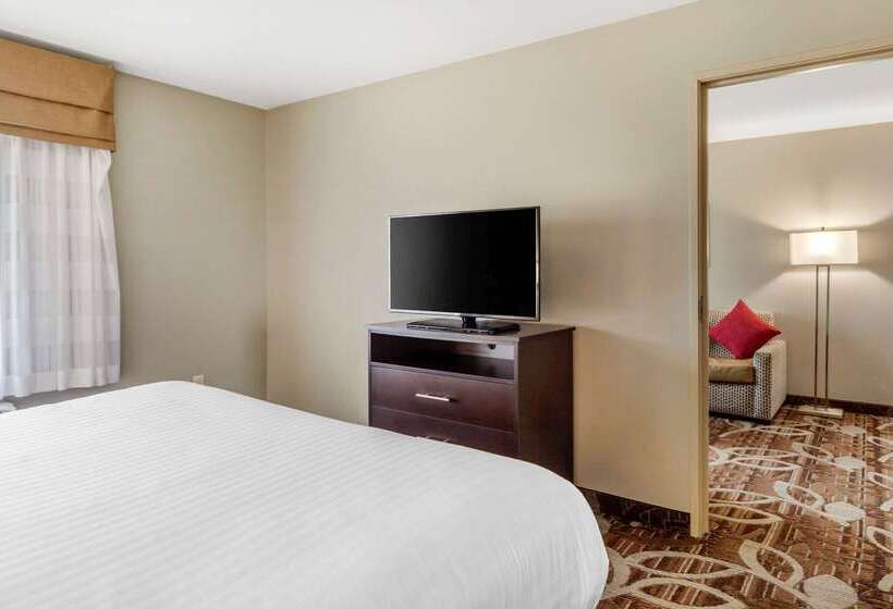 酒店 Mainstay Suites Lincoln University Area