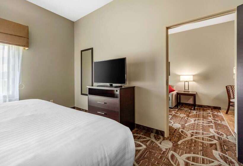 酒店 Mainstay Suites Lincoln University Area